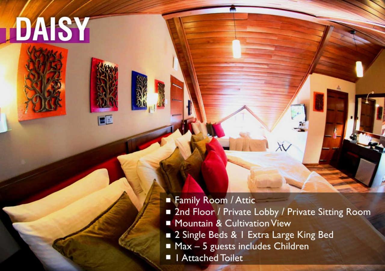 विला Glory Bush Boutique