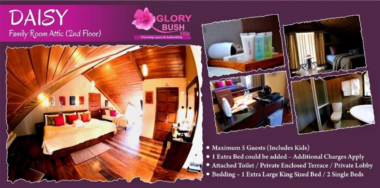 Glory Bush Boutique विला Nuwara Eliya